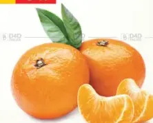 Orange Mandrin Nadorcot