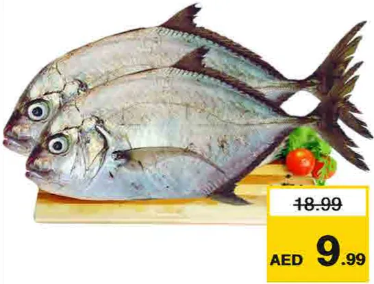 سمك بارا طازج