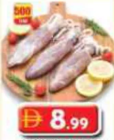 Fresh Squid