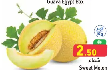 Sweet Melon