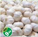 garlic