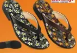 aerosoft Ladies Slipper Asstd