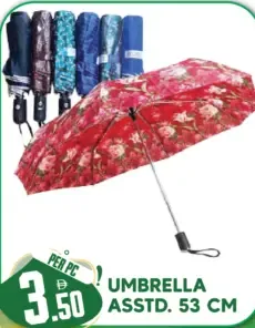 Umbrella Assorted