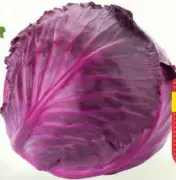 Red Cabbage