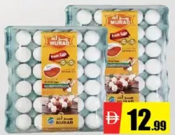 Murad بيض أبيض