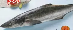 سمك Moda