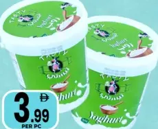 Tasty Yoghurt