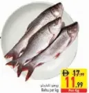 سمك النازلي