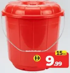 Oasis Bucket Assorted