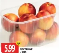 نكتارين