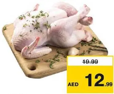 Fresh Chicken