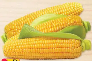 ذرة حلوة