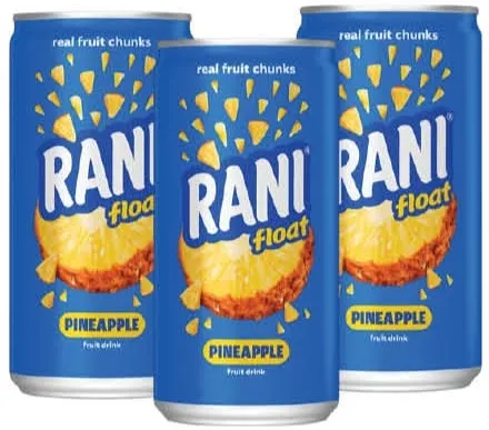 Rani Float Pineapple Fruit Drink Non Added Sugar