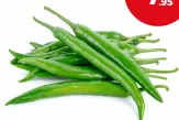 Chilli Long Green (Jordan/)