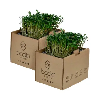 Badia Farms براعم الكزبرة