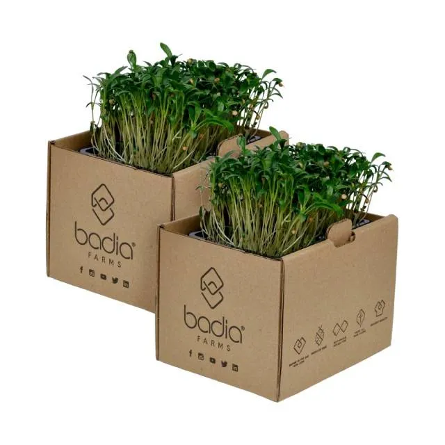 Badia Farms Coriander Cress