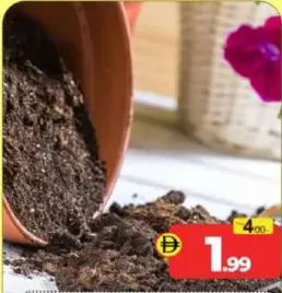 Organic Soil Small Bag