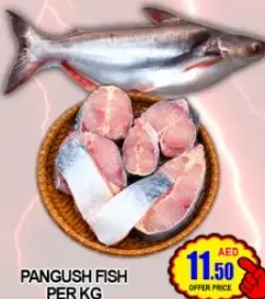 Pangush Fish