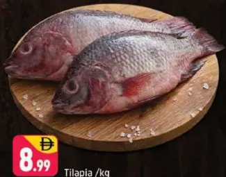 سمك بلطي