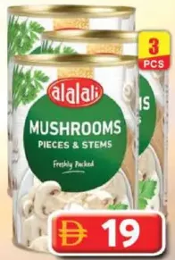 alalali فطر P&S
