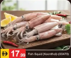 Fish-Squid (Koonthal) 00470