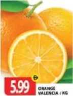 ORANGE VALENCIA (Per kg)