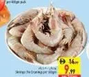 Shrimp One Day Big