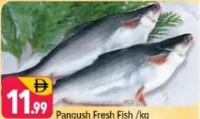 Pangush Fresh Fish