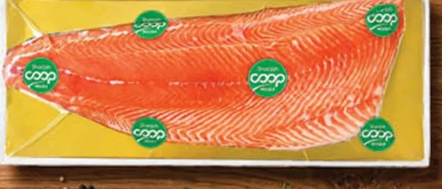 Sharjah Coop سلمون فيليه ممتاز تعاونية الشارقة