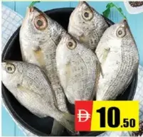 Prachi Fish