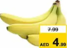 موز إكوادور