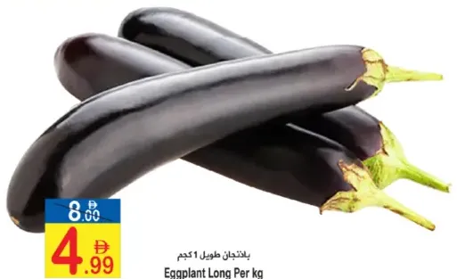 Eggplant Long