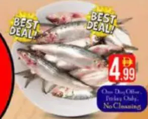 Sardine Fish