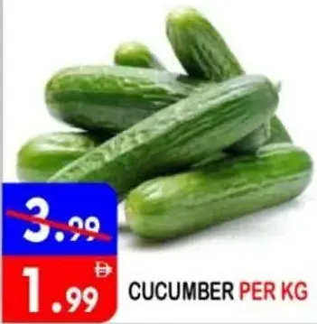 Cucumber
