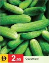 Cucumber