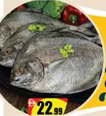 Black Pomfret
