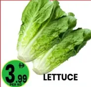 Lettuce
