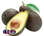 أفوكادو هاس
