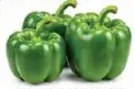 Capsicum Green