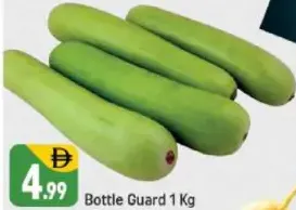 Bottle Guard