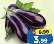 Eggplant Big Oman