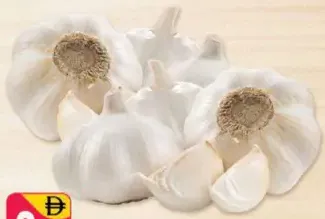 garlic