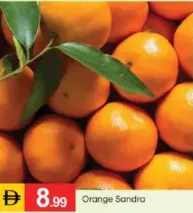 برتقال ساندرا