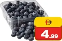 Blueberry