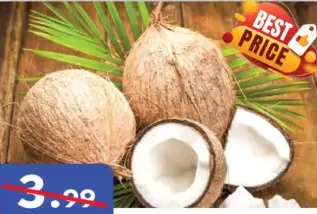 Coconut Dry