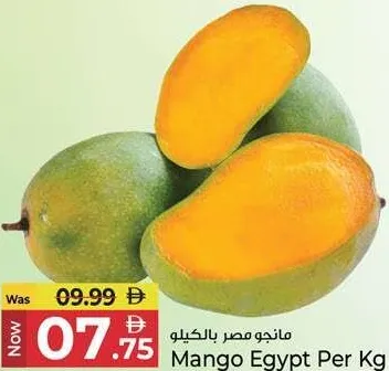 Mango Egypt
