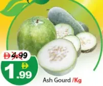 Ashgourd