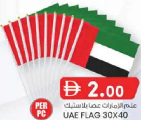 Flag Plastic Stick