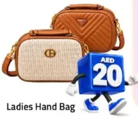 Ladies Hand Bag