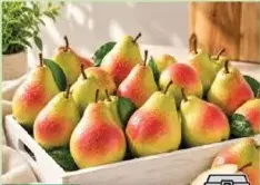 Pears Rsa